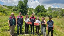 Tunceli'de Kadınların Çilek Hasadı Başarıyla Gerçekleşti