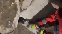 Muğla'da Duvara Sıkışan Kedi Kurtarıldı