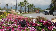 İskenderun Sahili Renkleniyor