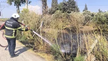 Reyhanlı'da Zeytinlik Yangını Kontrol Altına Alındı