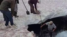 Tortum'da Buzullarda Dana Kurtarıldı