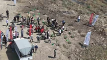 Hatay'da Fidan Dikimi Etkinliği Düzenlendi