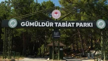 Gümüldür Tabiat Parkı Yeniden Açıldı