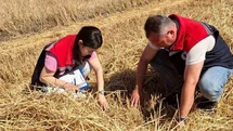 Hayrabolu'da Biçerdöver Denetimleri Devam Ediyor