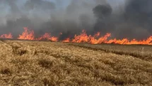Tekirdağ'da Buğday Tarlası Yandı