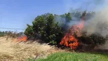 Çanakkale’de tarım arazisinde yangın
