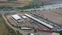 Erbaa'da Koyun Çiçek Hastalığı Nedeniyle Pazar Kapatıldı