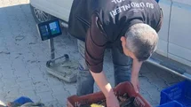 Beyşehir'de Av Denetimleri Artıyor