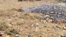 Gercüş'te Yangın Panik Yarattı