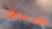 Oğuzeli'nde Buğday Tarlasında Yangın Çıktı