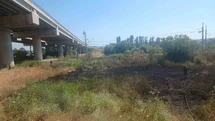 Balıkesir Susurluk'ta Ot Yangını Söndürüldü