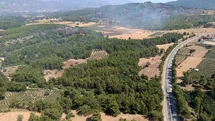 Seydikemer'de Orman Yangını Kontrol Altına Alındı