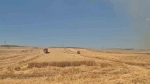 Tekirdağ'da Tarla Yangını Mücadelesi