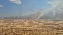 Tekirdağ'da Çıkan Yangınlar Kontrol Altına Alındı