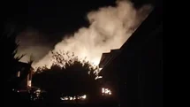 Cunda Adası’ndaki orman yangını kontrol altına alındı