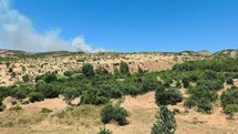 Diyarbakır Dicle'de Yangın Paniği