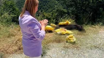Bilecik'te Yol Kenarındaki Hayvan Leşine Tepki