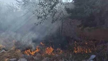Hassa’da bahçe yangını