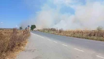 Silivri'de Tarla Yangını Paniği