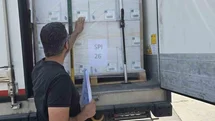 Didim'den İngiltere'ye Balık İhracatı