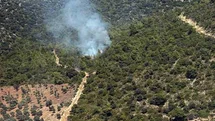 Milas Kazıklı Koyu’nda makilik alanda yangın çıktı
