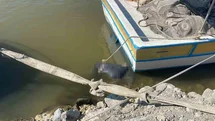 Hatay'da Asi Nehri'nde Erkek Cesedi Bulundu