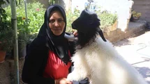 Hatay'da Anne ve Kuzu Dostluğu