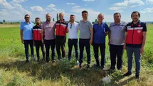 Kütahya'da Çörek Otu Projesi Devam Ediyor