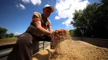 Kocaeli'de Arpa Hasadı Dönemi Başladı