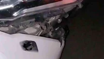 Elazığ’da otomobil domuz sürüsüne çarptı