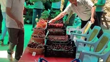 Hisarcık Kutlubeyler köyünde Kiraz Festivali coşkusu