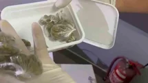 Sakarya'da Uyuşturucu Operasyonu