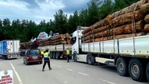 Sinop'ta Orman Emvali Denetimi Yapıldı