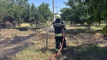 Muğla'da Arazi Yangını Kontrol Altına Alındı