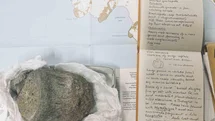 Antarktika'da İlk Dinozor Fosili Bulundu