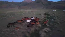 Kırgızistan Bozkırlarında Gün Batımı Görüntüleri
