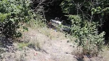Zonguldak'ta Ormanlık Alana Uçan Araçta Yaralılar Var