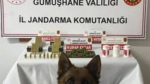 Gümüşhane'de Uyuşturucu Operasyonu Yapıldı