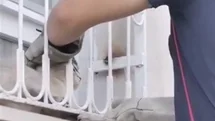 Osmaniye'de Sıkışan Kedi Kurtarıldı