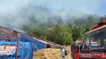 Bursa'da Orman Yangını Paniğe Neden Oldu