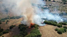 Manisa'da Makilik Alan Yangını