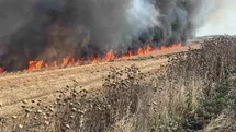 Tekirdağ'da Buğday Tarlası Yangını