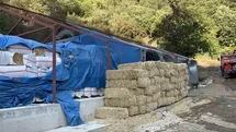 Bursa'da Orman Yangını Olayı