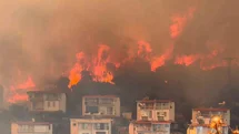 İzmir'de Tarım Alanında Yangın Kontrol Altında