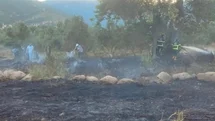 Hassa'da Zeytinlik Yangını Kontrol Altına Alındı