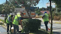 Aydın Efeler'de Yeşil Alan Çalışmaları
