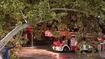Tramvay hattına düşen dal seferleri aksattı