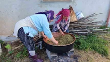 Giresun'da Dut Pekmezi Üretimi Başladı