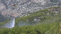 Antalya'da Orman Yangını Kontrol Altında