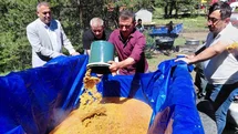 Bolu'da Geleneksel Şimşir Bayramı Kutlandı